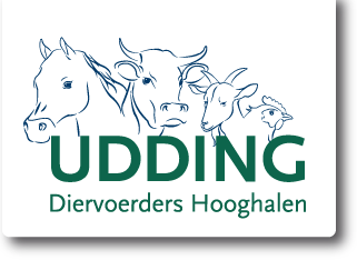 Udding